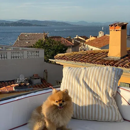 150 M2, 2 Terrasses , Vieille Ville Et Vue * Saint-Tropez